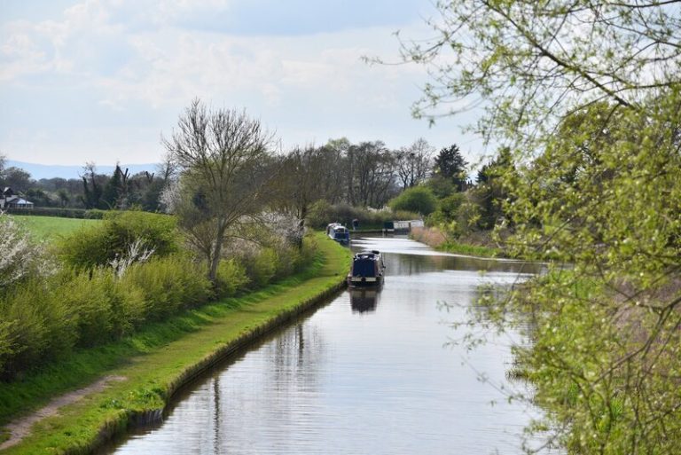 Pints, Proms & Ploughs