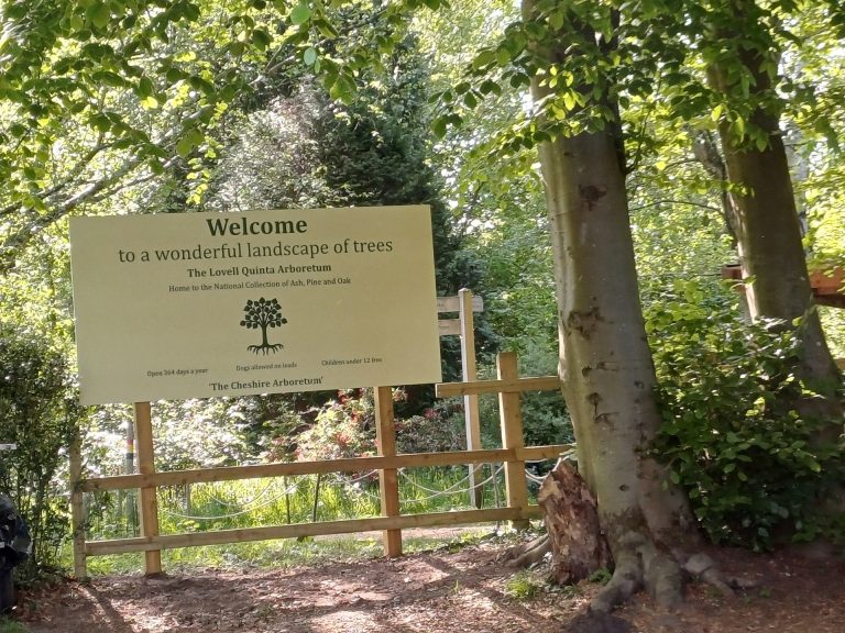 This Week in Cheshire: Weekend Wander Wins
