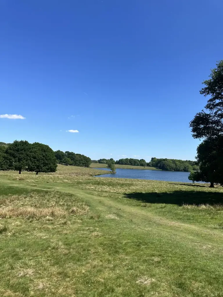 This Week in Cheshire: April Adventures Await