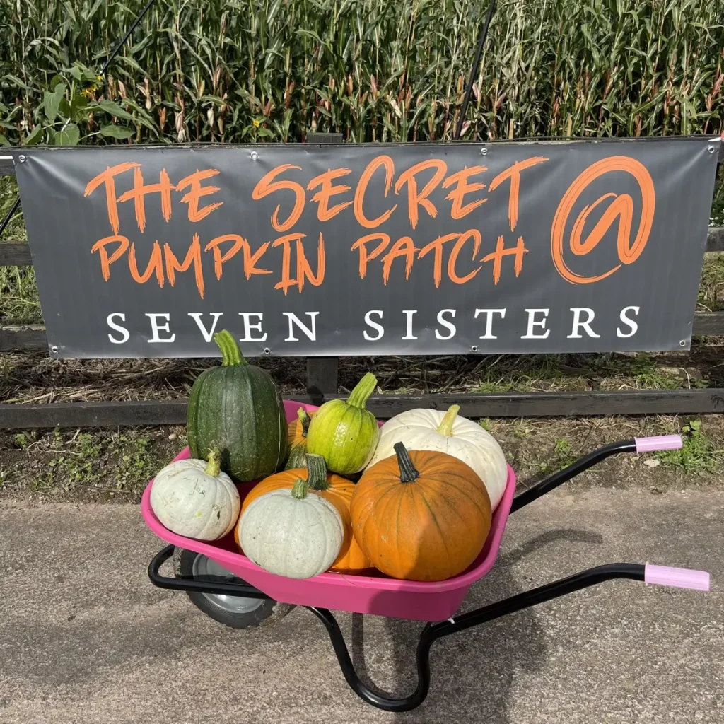 Patches, Pumpkins and Proper Ice Cream